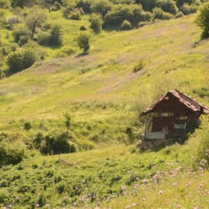 تارو- قلعه گردن به ورسک