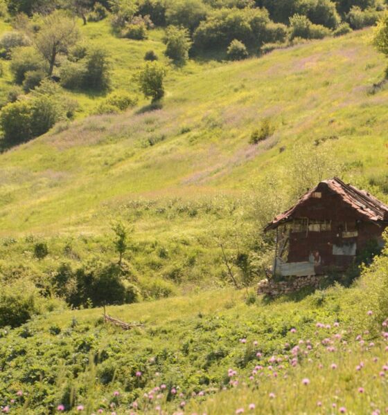 تارو- قلعه گردن به ورسک