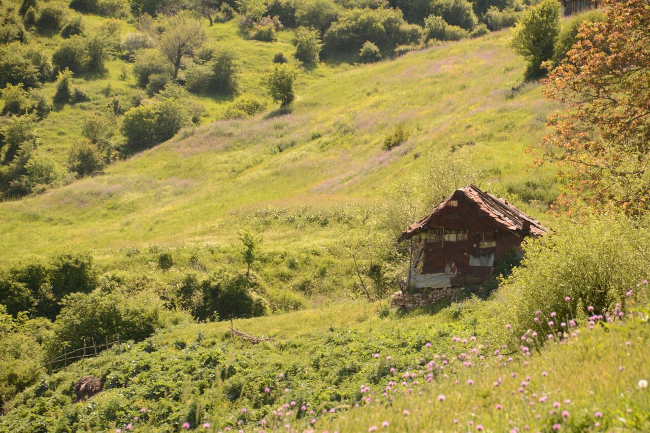 تارو- قلعه گردن به ورسک